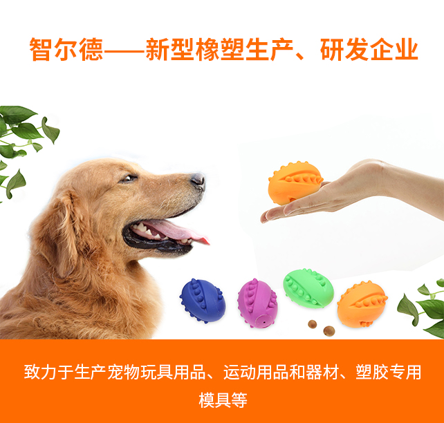 公司簡介